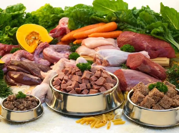 狗狗鮮食食譜
