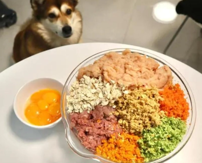 狗狗鮮食食譜