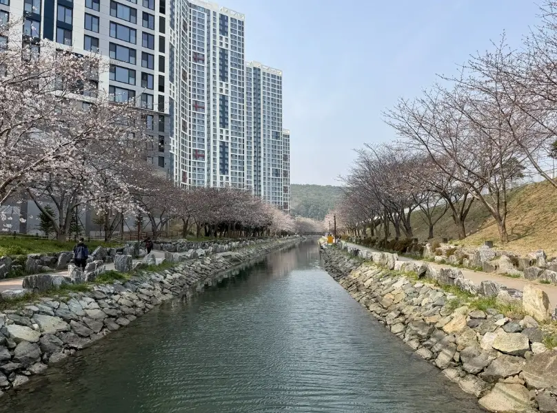 釜山在地景點
