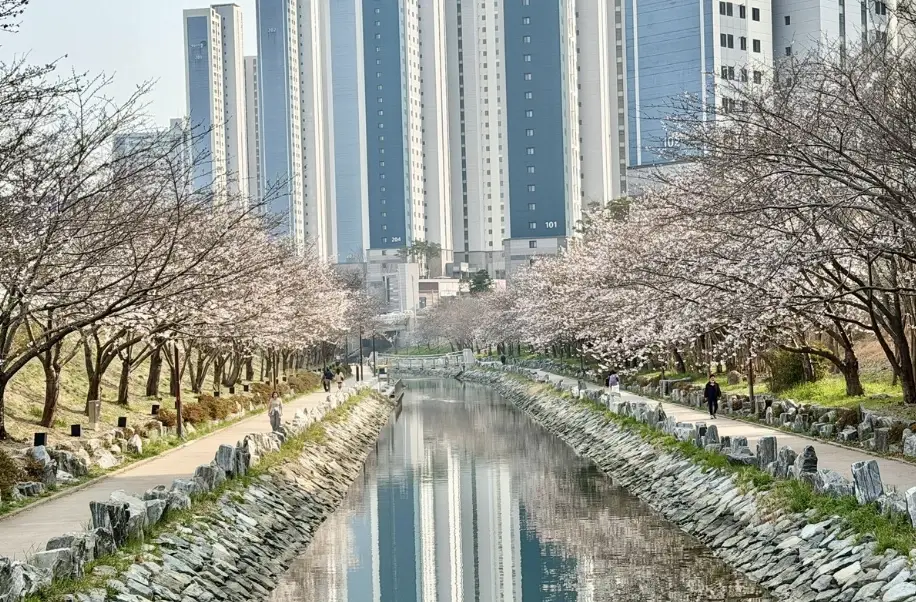 釜山在地景點