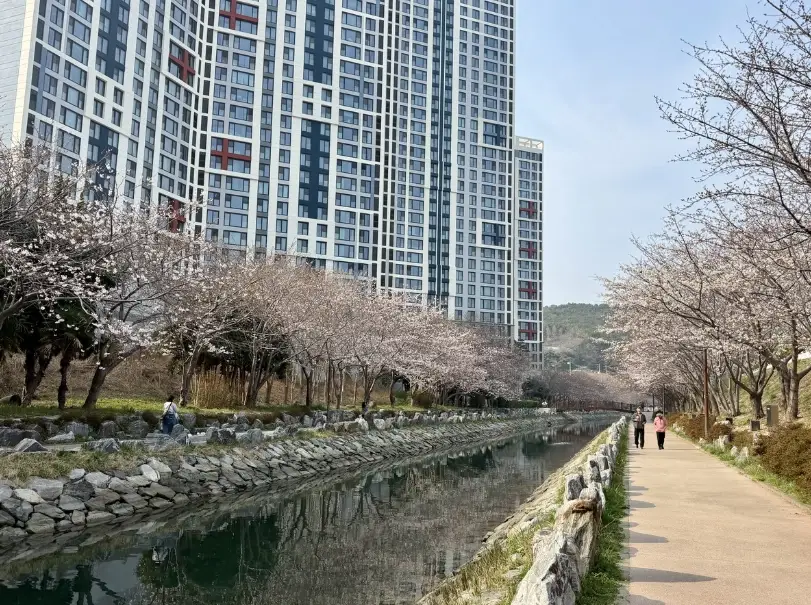 釜山在地景點
