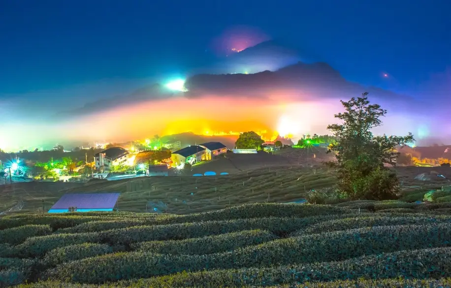 阿里山住宿推薦