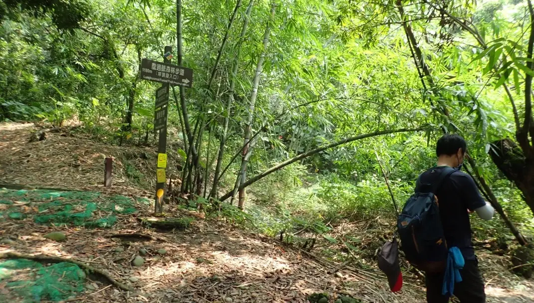 龍過脈森林步道美食 龍過脈森林步道美食
