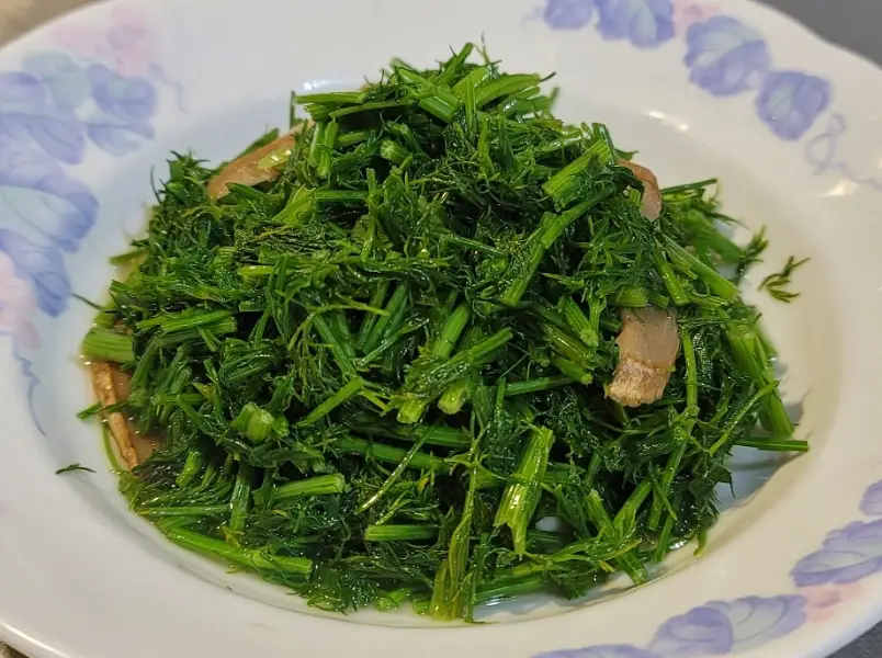 茴香料理 素食