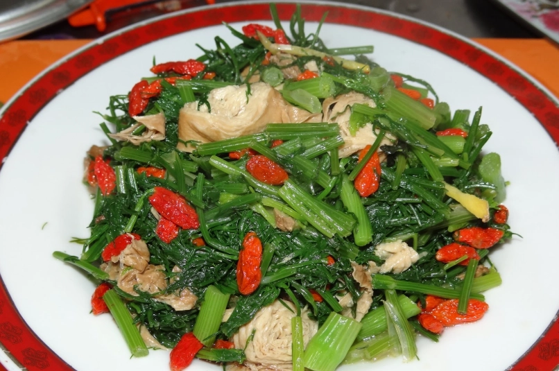 茴香料理 素食