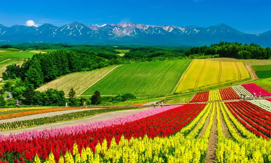 北海道旅遊季節