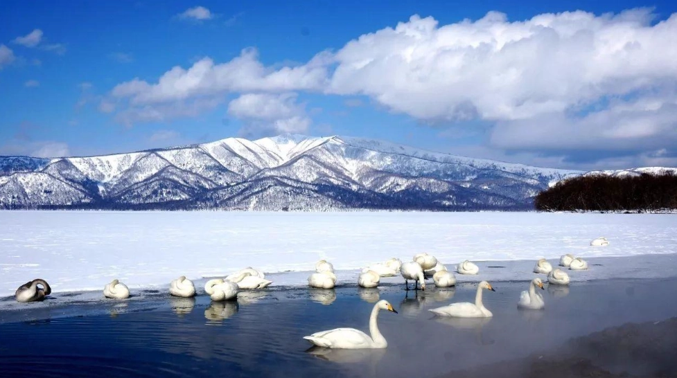 北海道自由行