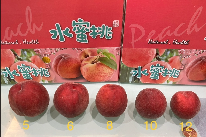水蜜桃熱量