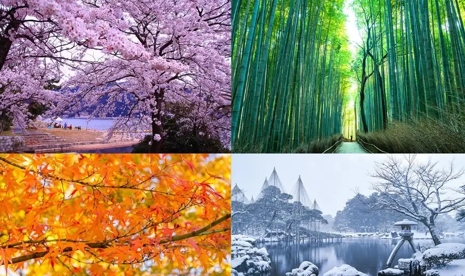 北海道旅遊季節