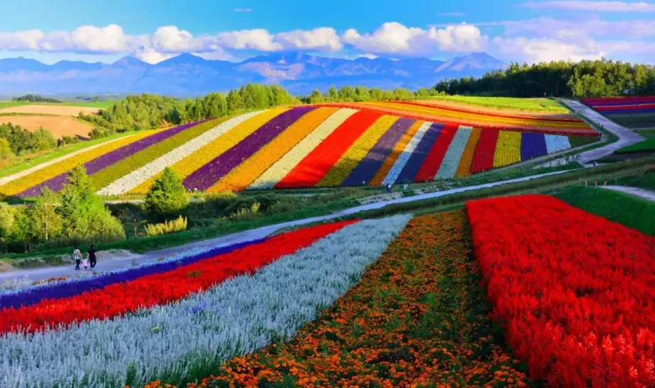 北海道自由行