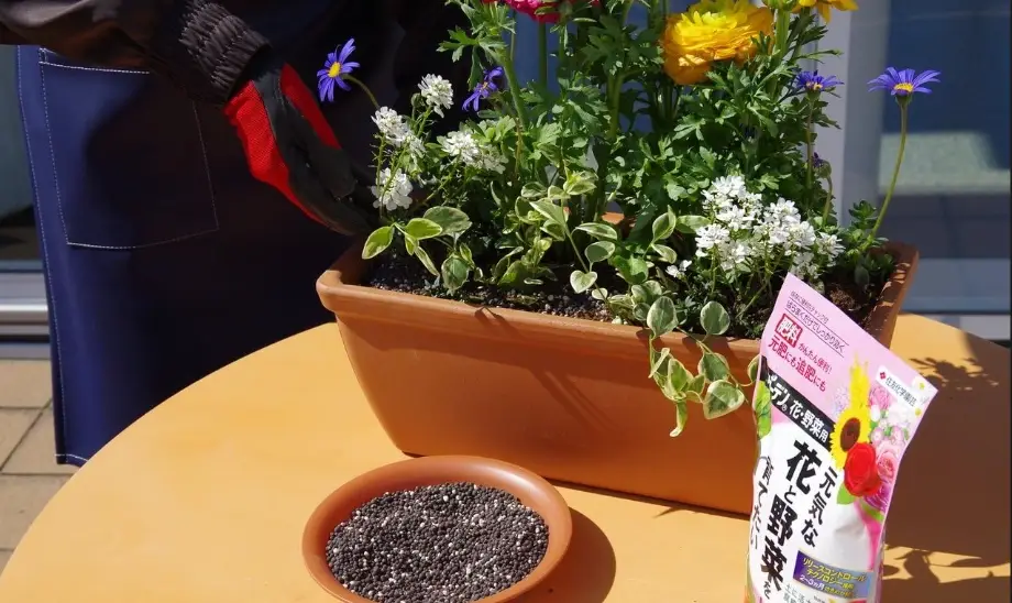 開花結果肥推薦
