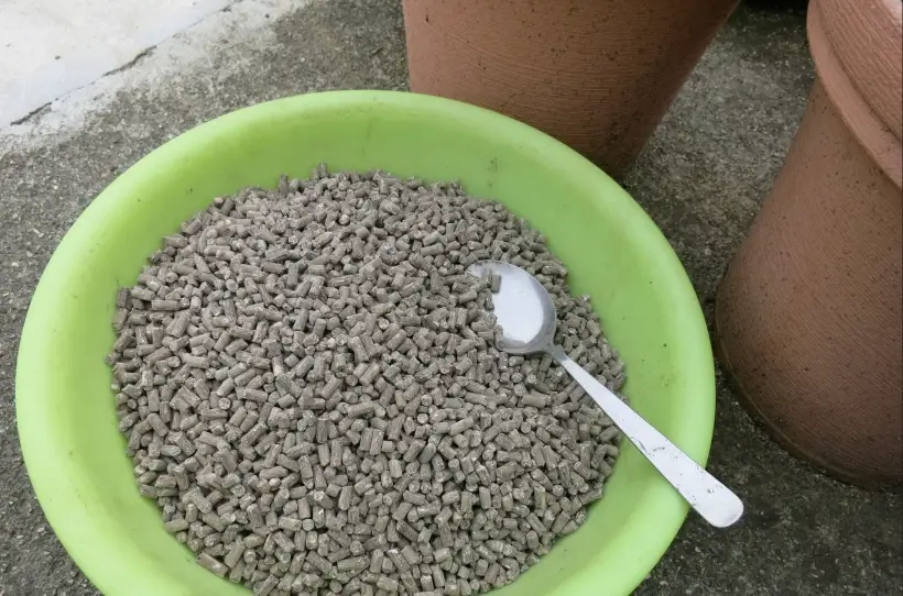磷鉀肥施用時機