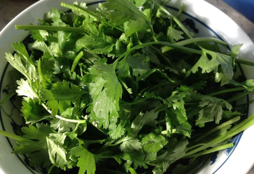 香菜水怎麼煮