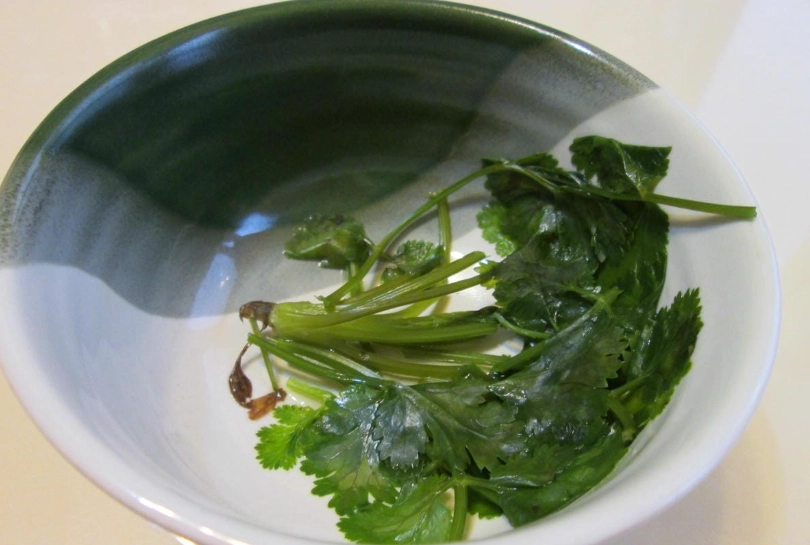 香菜水怎麼煮