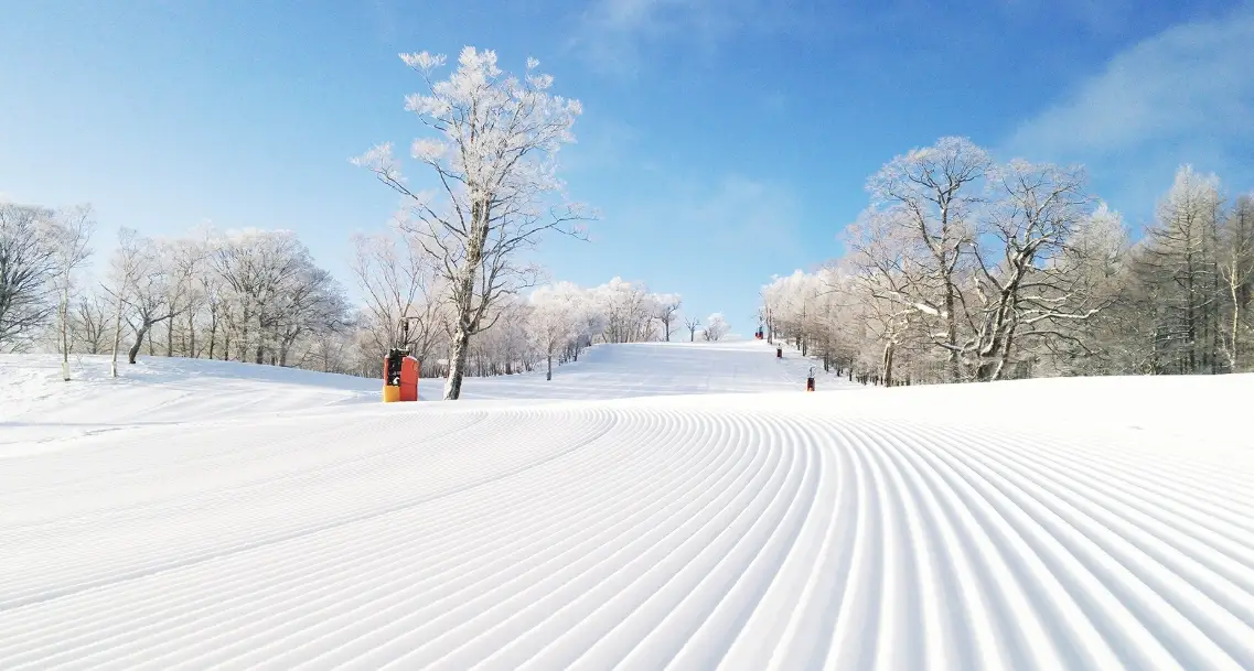 名古屋滑雪場推薦