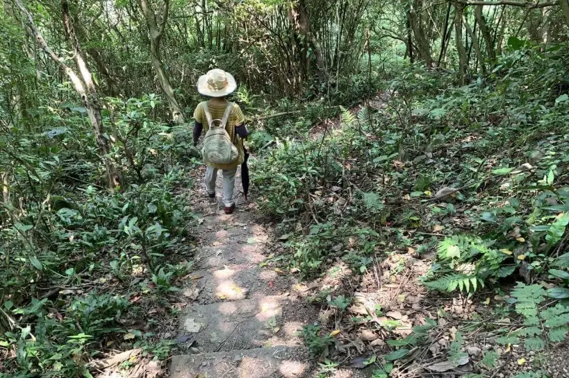 天母水管路步道 天母水管路步道