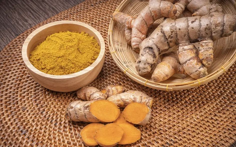野薑花可以吃嗎 野薑花可以吃嗎