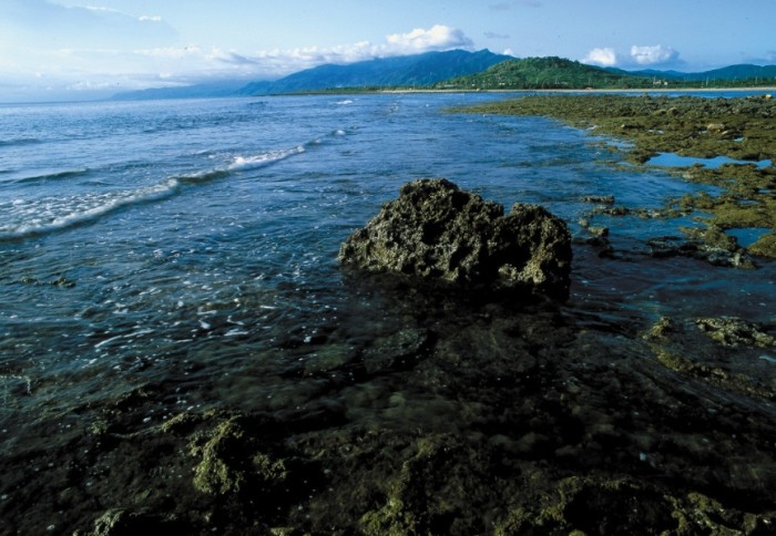台灣潮間帶旅遊 台灣潮間帶旅遊