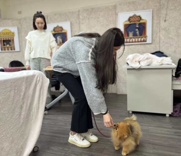 犬隻行為問題
