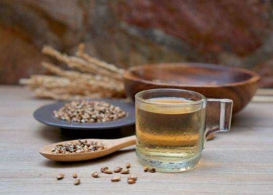 麥茶禁忌 麥茶禁忌