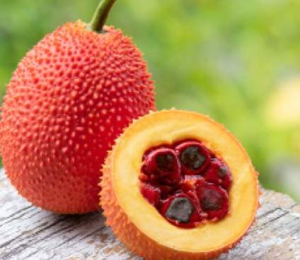 木鱉果油膠囊 功效 木鱉果油膠囊 功效