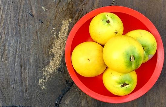 黃金果糖尿病 黃金果糖尿病