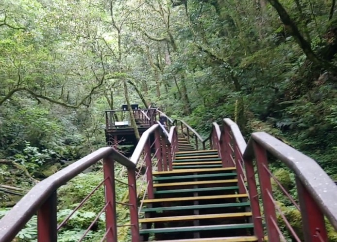 拉拉山神木群步道步行時間 拉拉山神木群步道步行時間