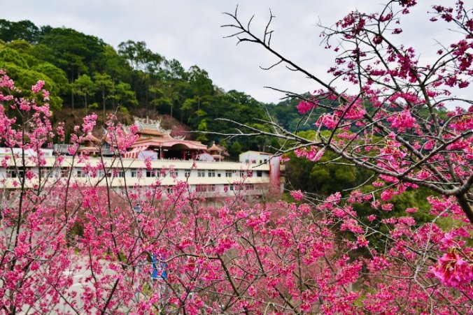 觀霧山莊交通 觀霧山莊交通