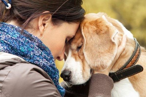 寵物過世如何安慰