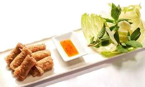 健康越南炸春捲 健康越南炸春捲