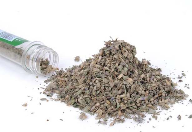 貓薄荷粉推薦品牌 貓薄荷粉推薦品牌