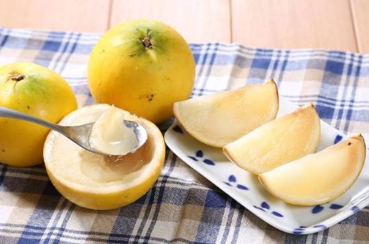 黃金果糖分 黃金果糖分