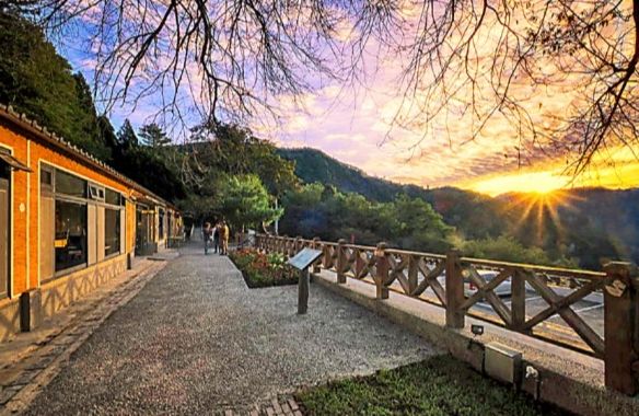 觀霧山莊住宿 觀霧山莊住宿