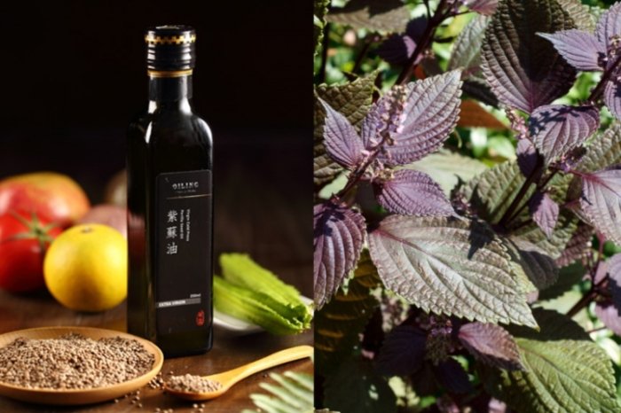 紫蘇油副作用 紫蘇油副作用