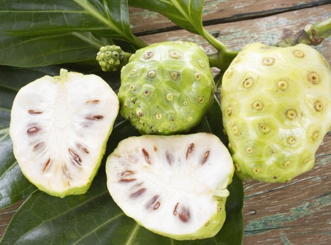 神奇諾麗功效 神奇諾麗功效