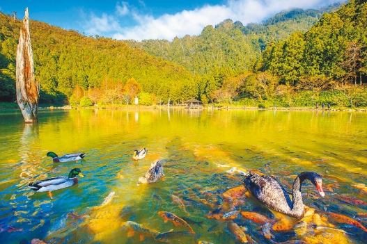 國內深度旅遊 國內深度旅遊