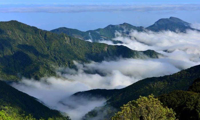 觀霧旅遊景點 觀霧旅遊景點
