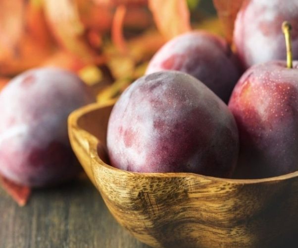 李子卡路里 李子卡路里