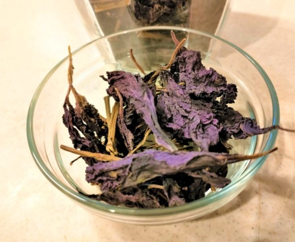 紫蘇茶副作用 紫蘇茶副作用