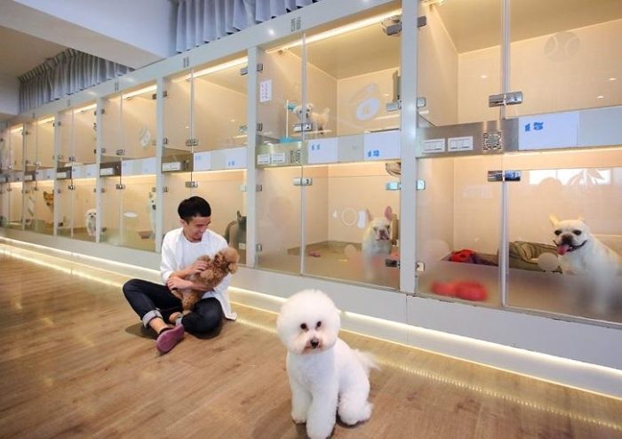寵物旅館價格