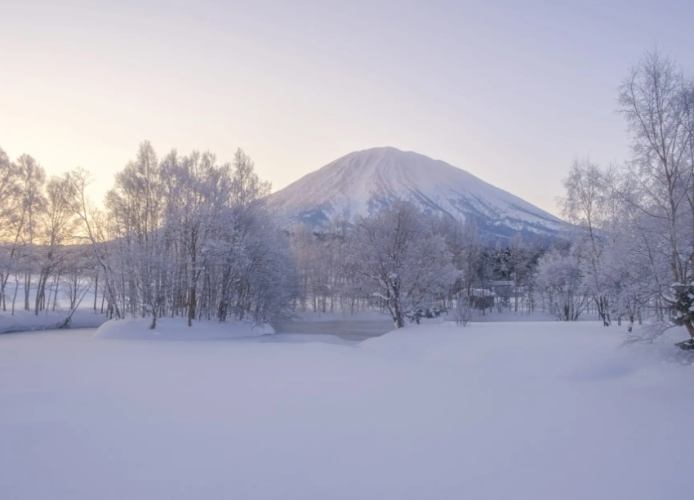 二世谷滑雪場票價