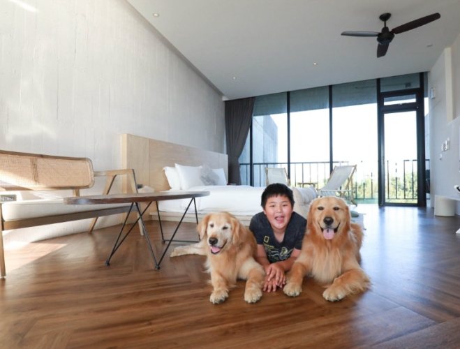 嘉義包棟民宿推薦 嘉義包棟民宿推薦