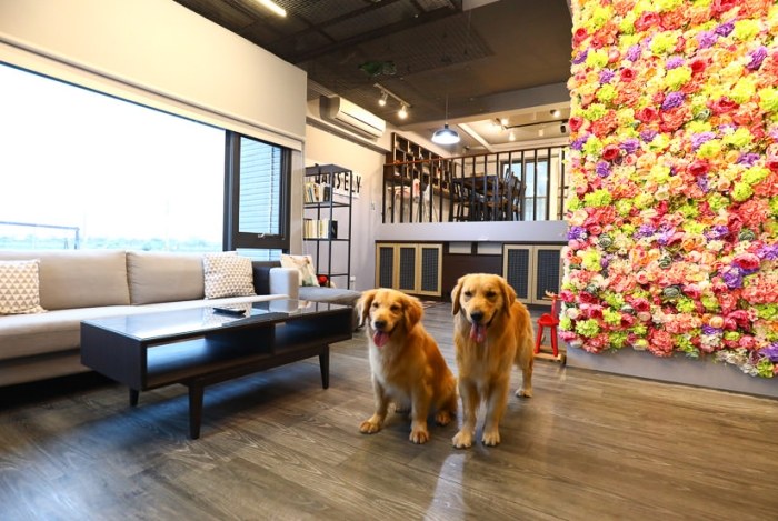 寵物友善民宿嘉義 寵物友善民宿嘉義