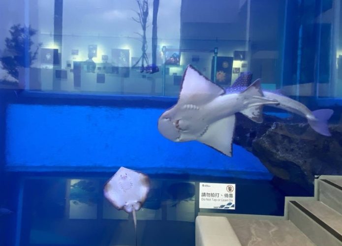 海科館必看 海科館必看