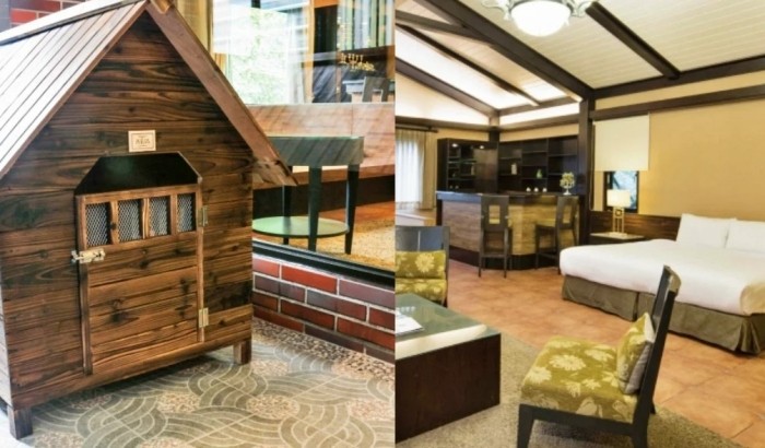 宜蘭寵物友善室內景點 宜蘭寵物友善室內景點