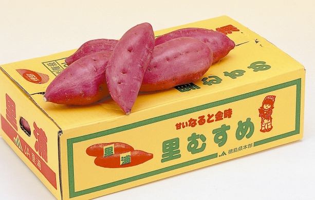 日本旅遊紀念品