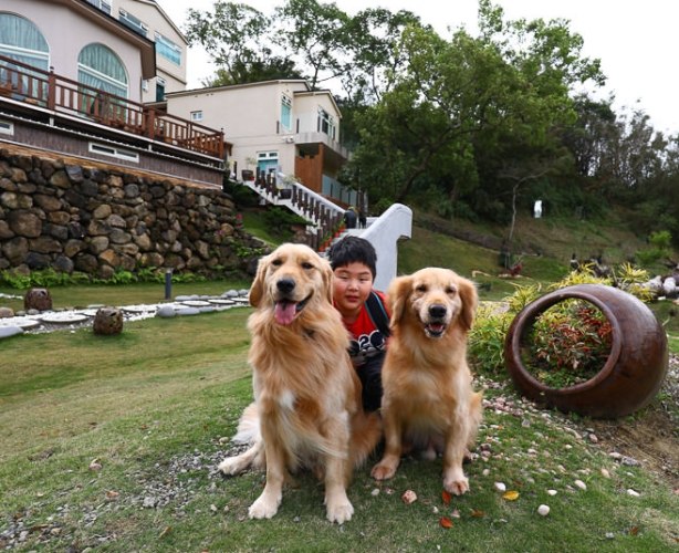 宜蘭帶寵物室內場所 宜蘭帶寵物室內場所
