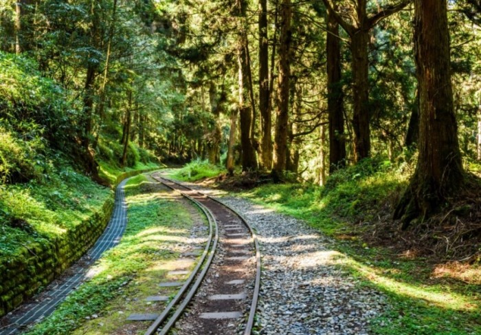 中南部自駕遊 中南部自駕遊