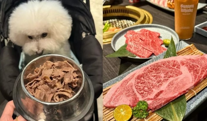 新竹帶狗燒肉
