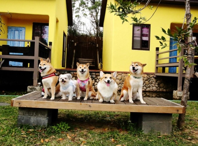 嘉義包棟民宿推薦 嘉義包棟民宿推薦